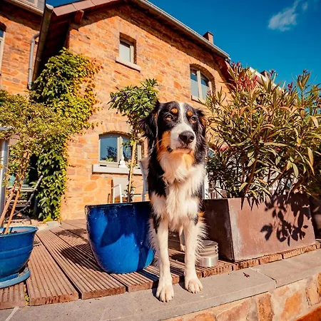 Bed & Breakfast Le Du Jardin Des Secrets *