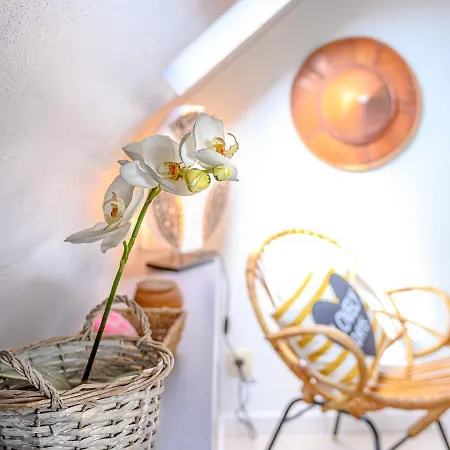 Bed & Breakfast Le Du Jardin Des Secrets Namur