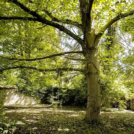 Le Jardin Des Secrets 